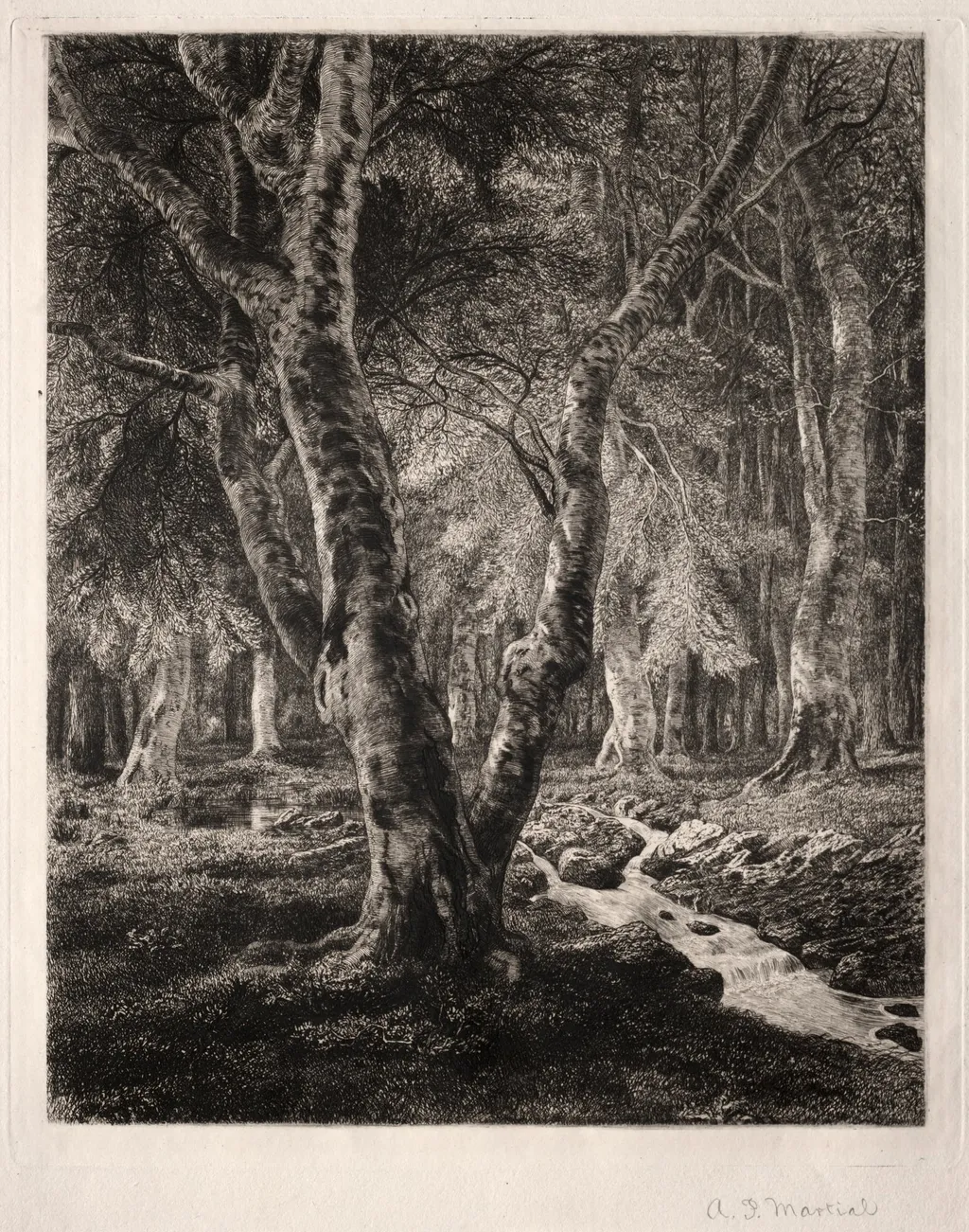 Forest of Pierrefonds, by Adolphe Martial-Potémont, 1874