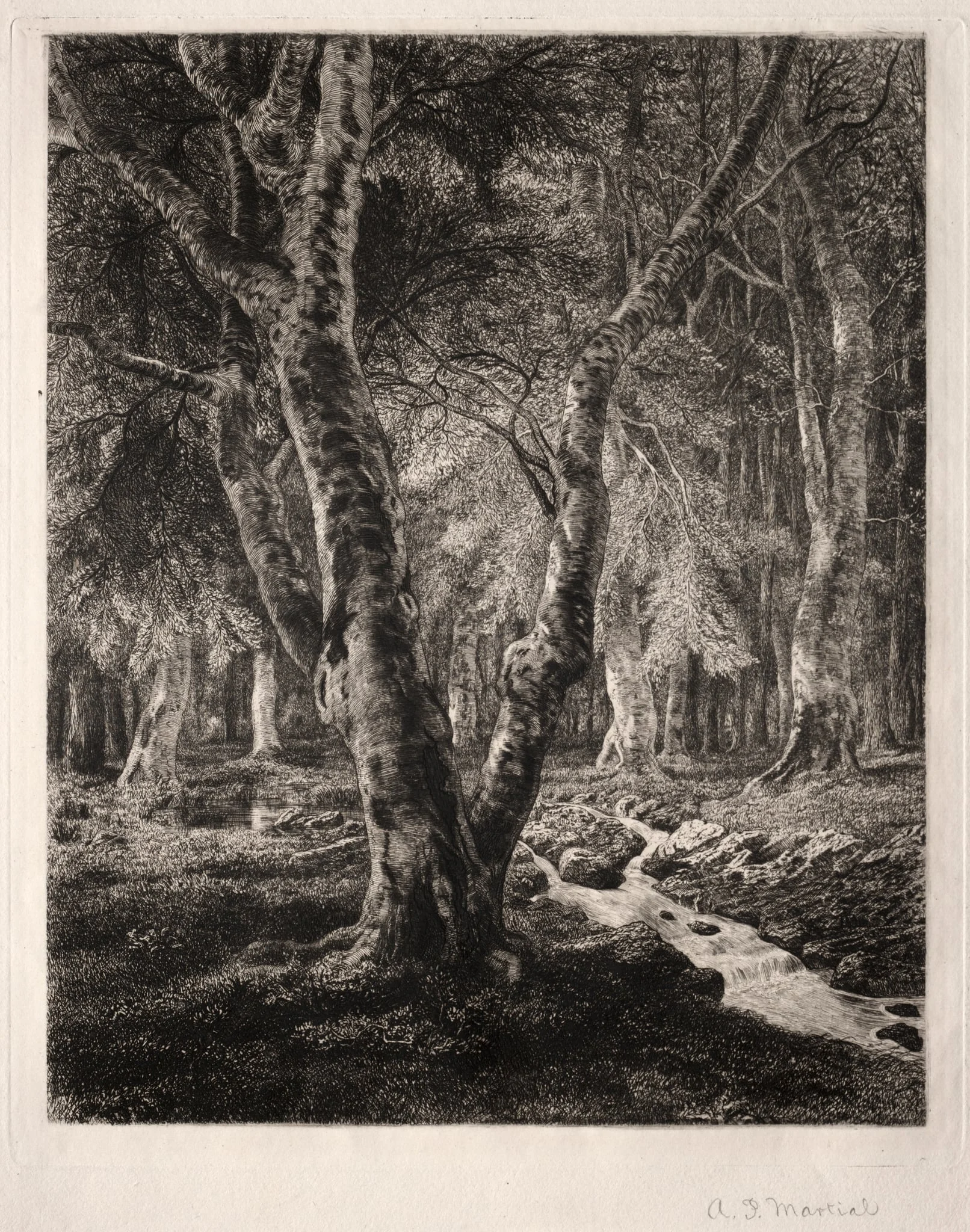 Forest of Pierrefonds, detail
