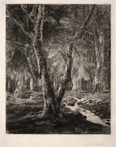 Forest of Pierrefonds, by Adolphe Martial-Potémont, 1874