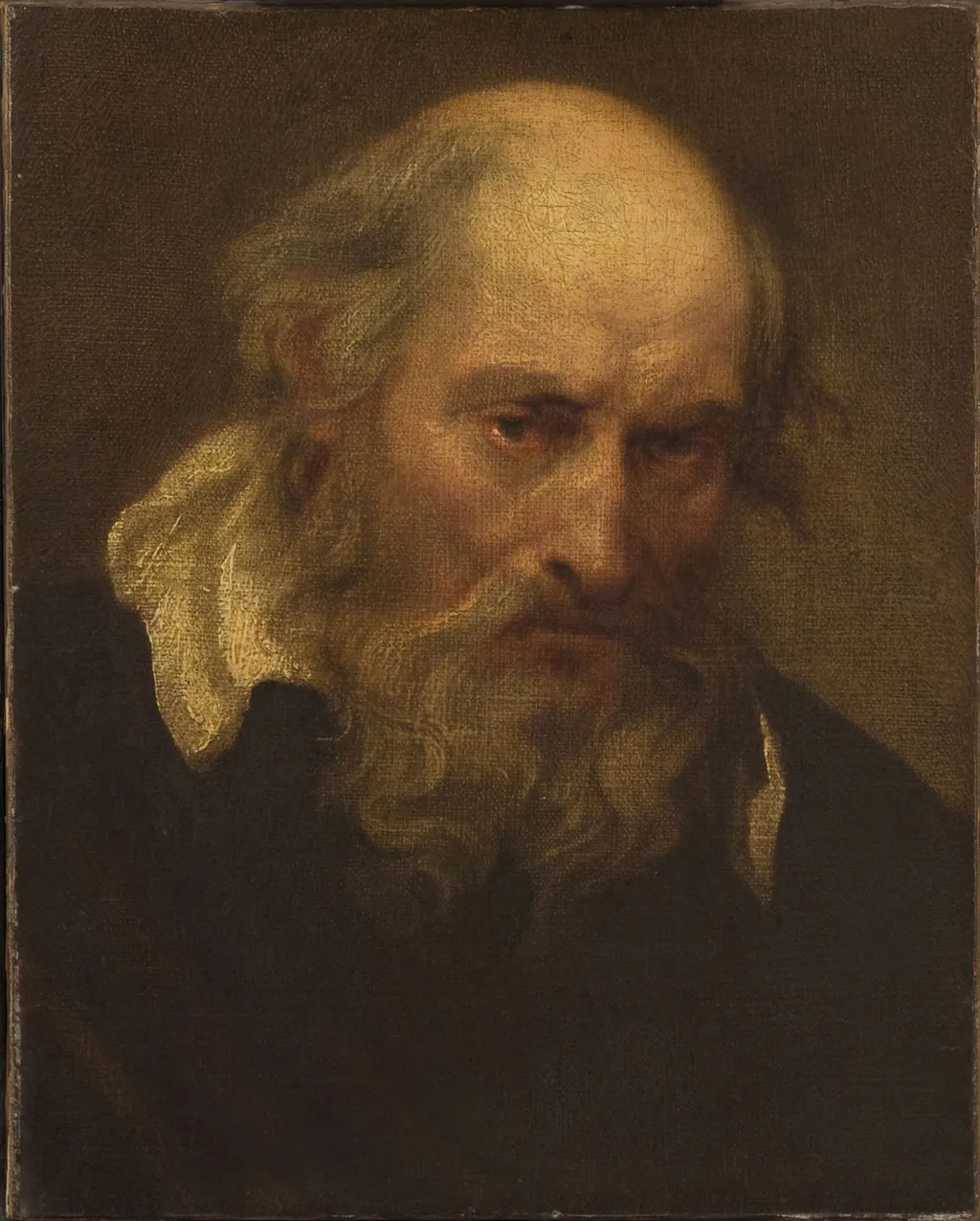 Head of an Old Man, by Anthony van Dyck, oil, 1618
