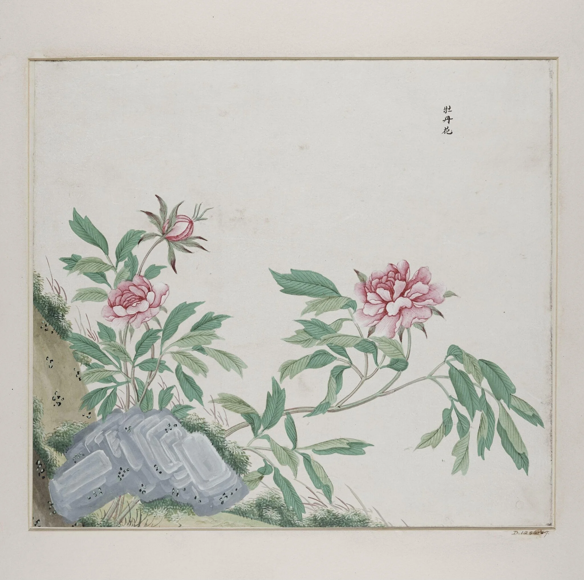 Mua dan hua, detail