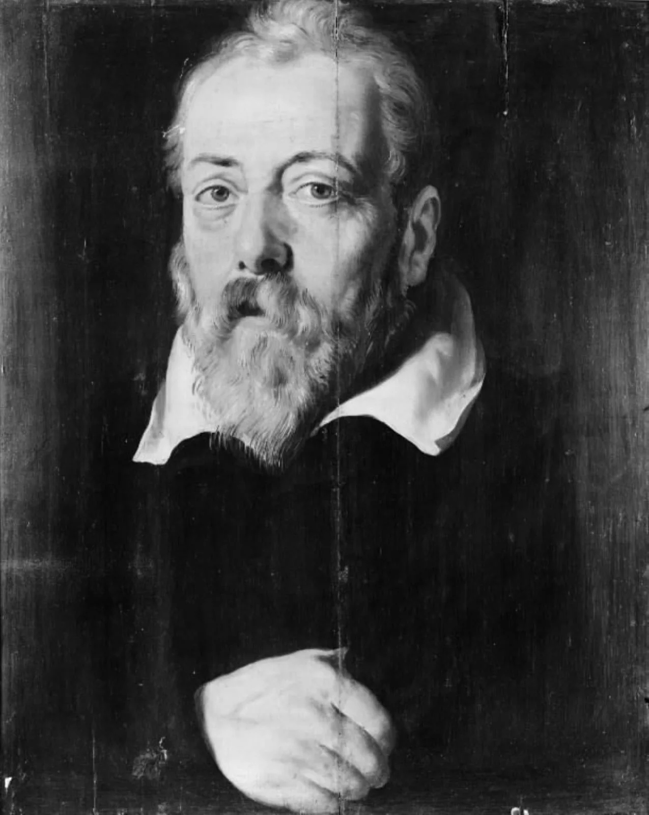 Portrait of Frans Francken, detail