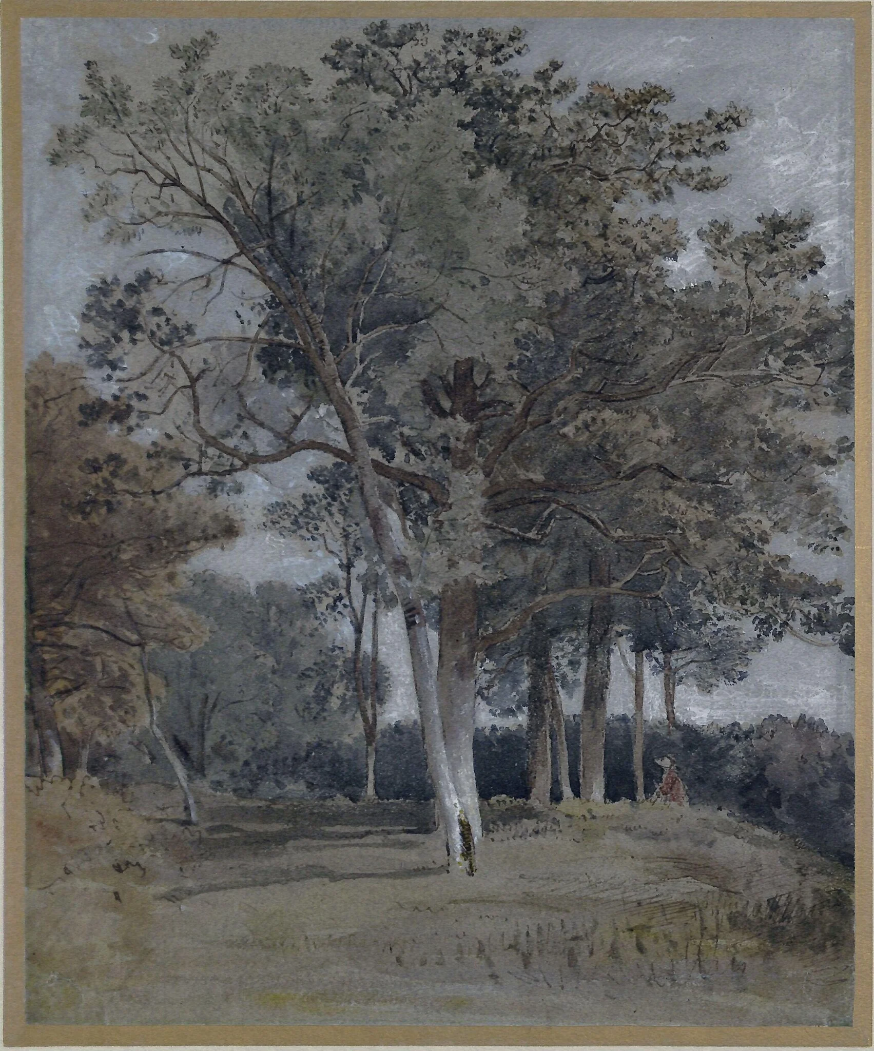 Study of trees at Ballater, Aberdeenshire, detail