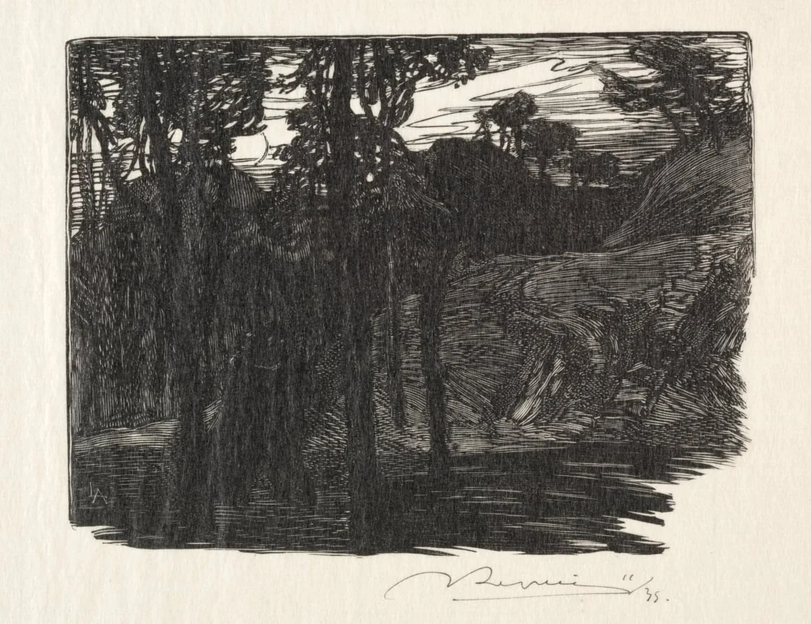 Evening, detail