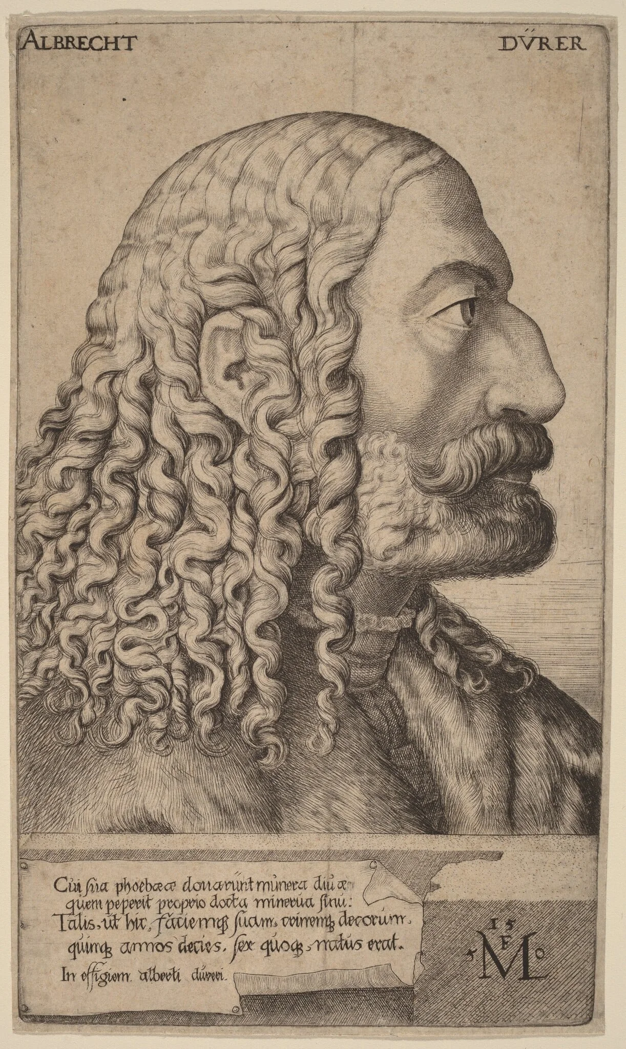 Albrecht Durer, detail