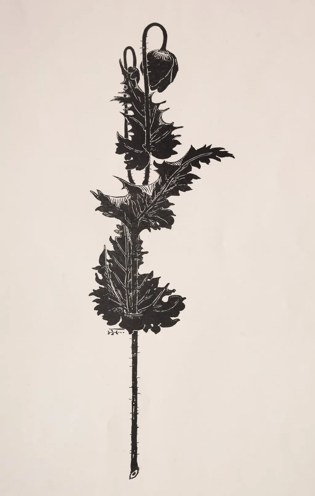 Flower Study, by Harry Fenn, 1886