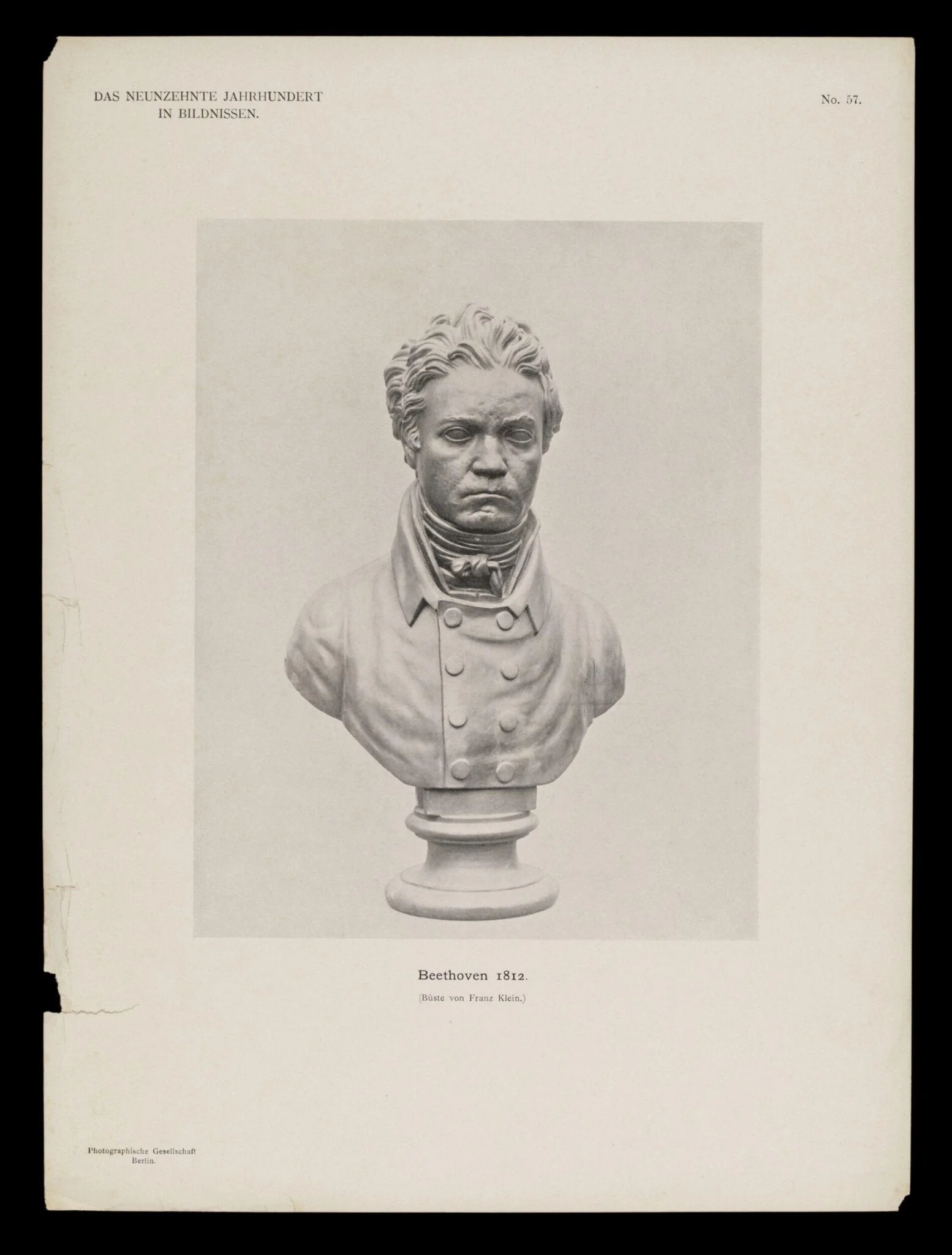 H Beard Print Collection, detail