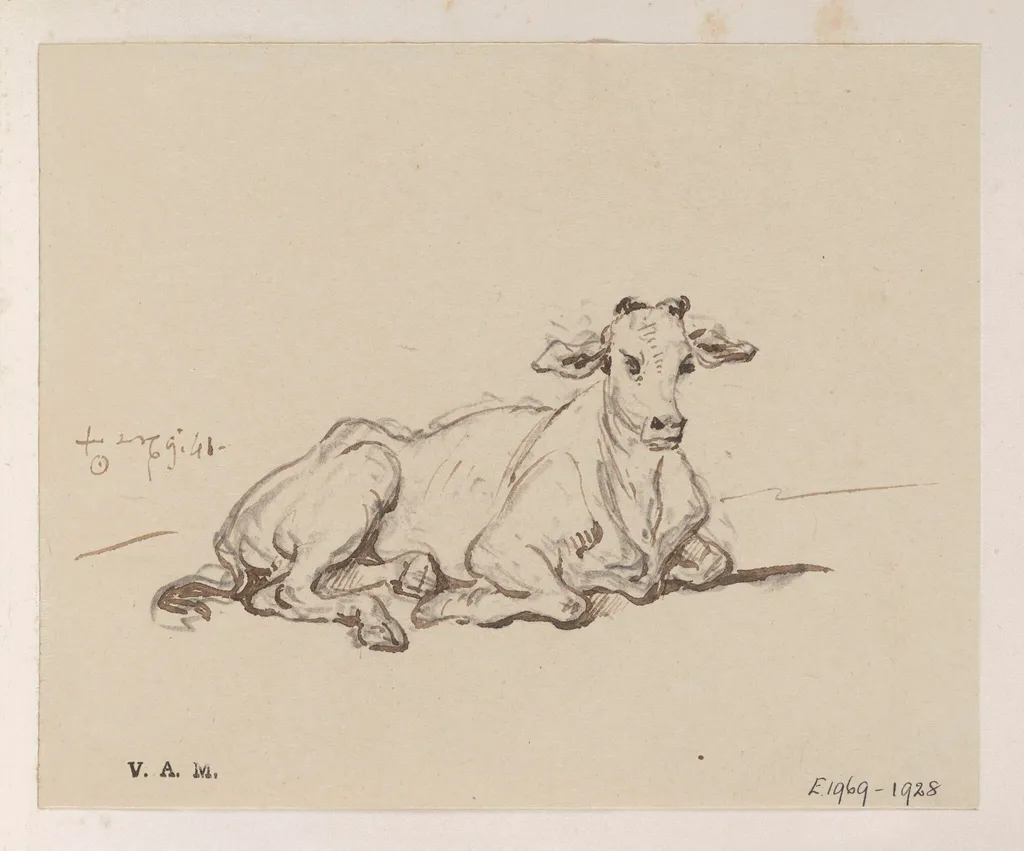 A cow, by George Chinnery, 8