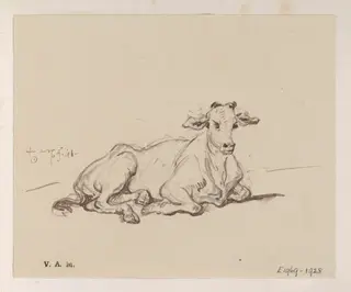 A cow, by George Chinnery, 8