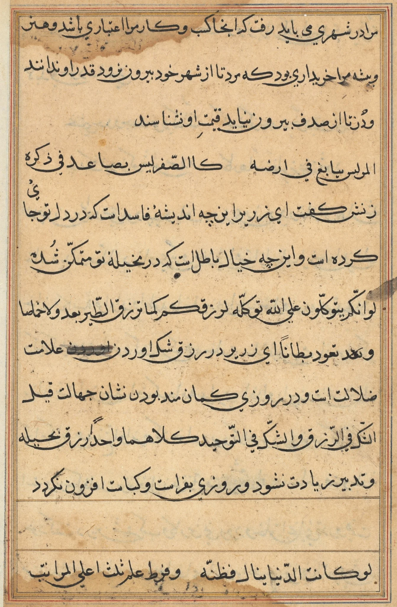 Page from Tales of a Parrot (Tuti-nama): text page, detail