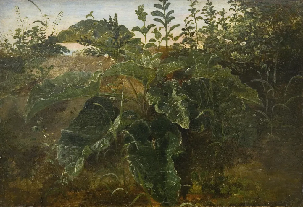 Foreground Study with Dock Leaves, by Dankvart Dreyer, unspecified, 1846