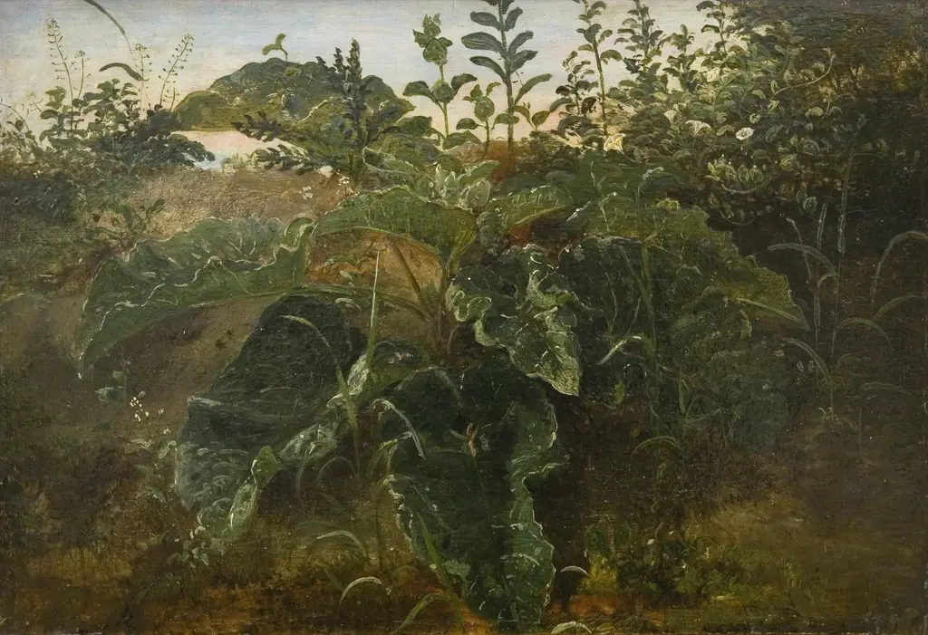 Foreground Study with Dock Leaves, by Dankvart Dreyer, unspecified, 1846
