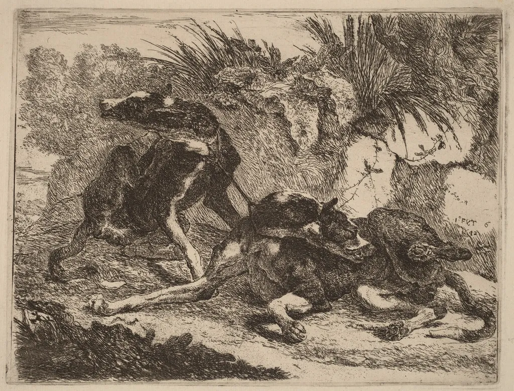 Two Greyhounds, Leashed and Facing Opposite Directions, by Jan Fyt, ink, 1642