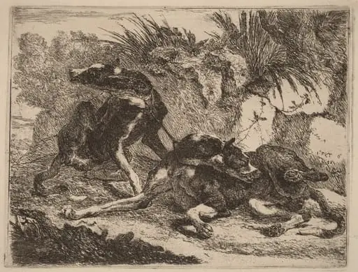 Two Greyhounds, Leashed and Facing Opposite Directions, by Jan Fyt, ink, 1642
