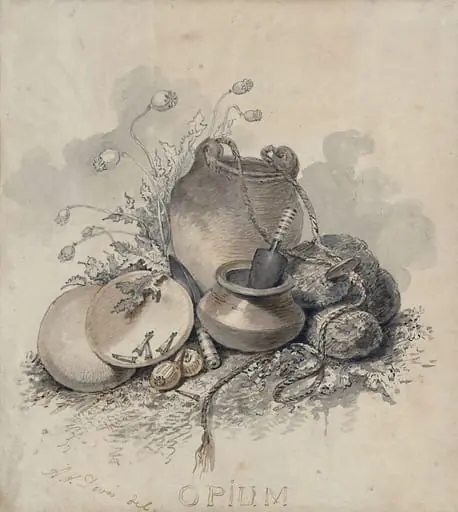 A group of objects associated with the cultivation of opium, by Arthur William Devis, watercolor, 1788