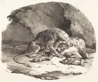 Lion Devouring a Horse, by Théodore Géricault, ink, 1823