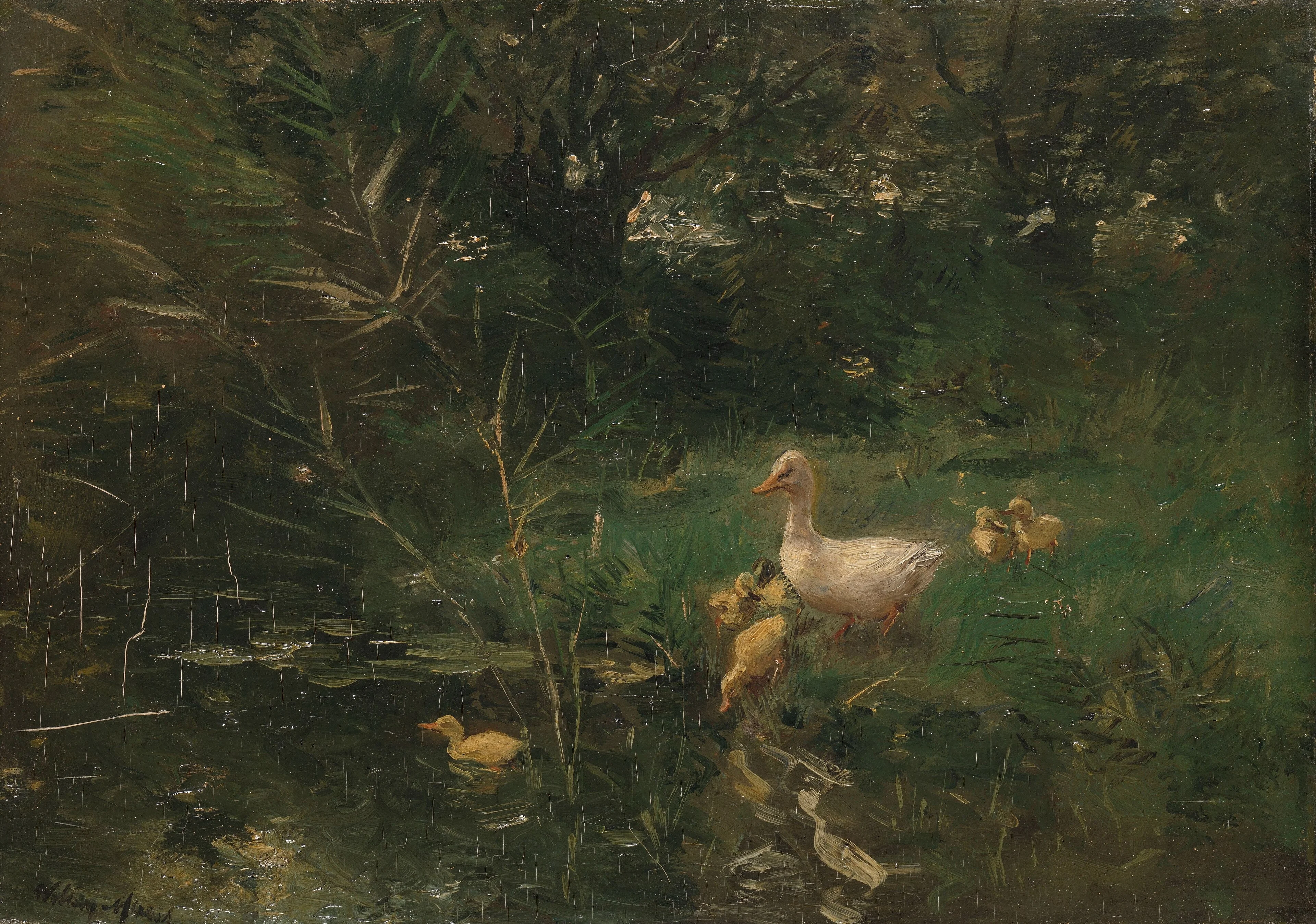 Eendjes, detail
