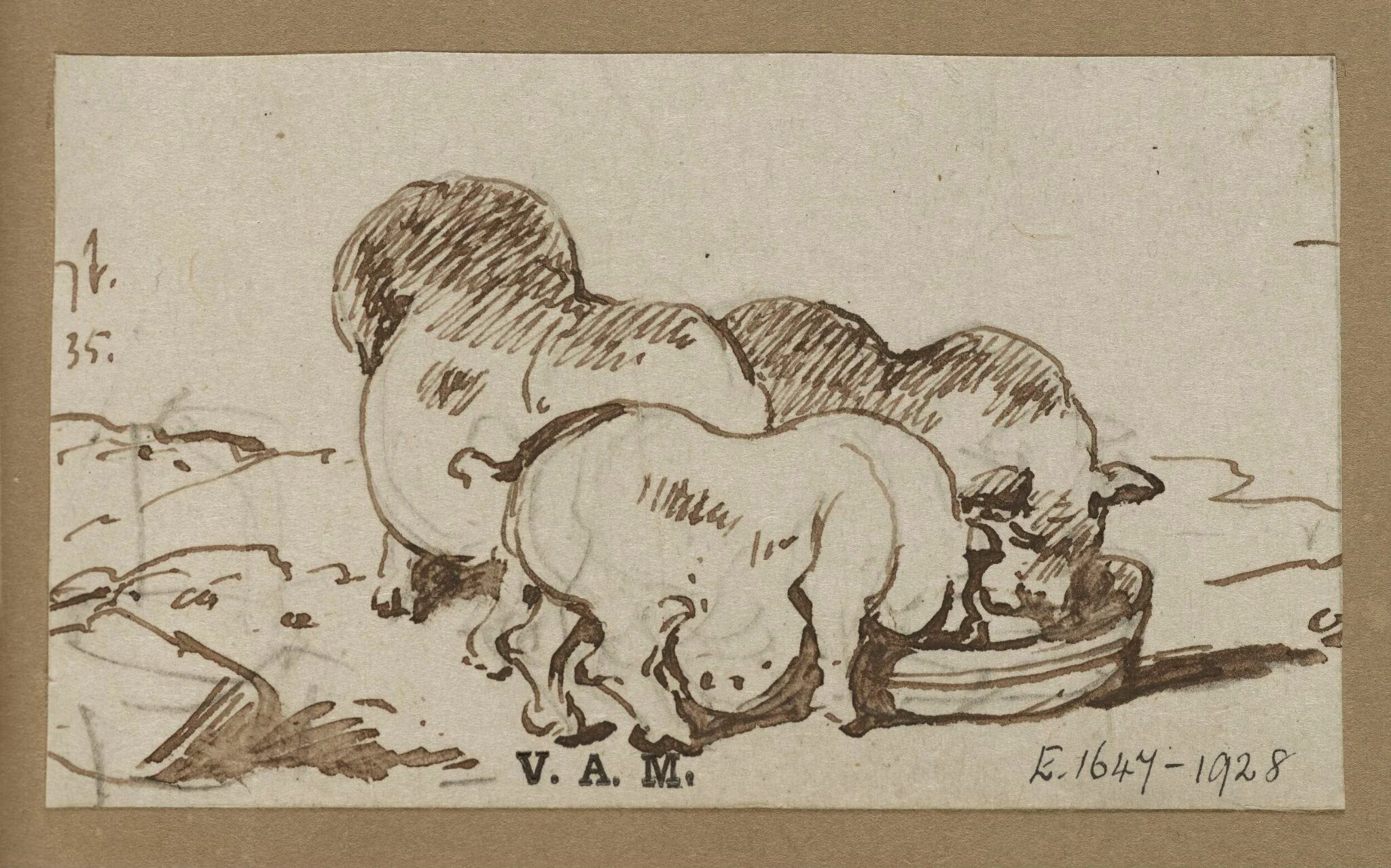 Three pigs, detail