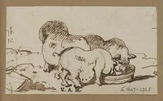Three pigs, by George Chinnery, 2