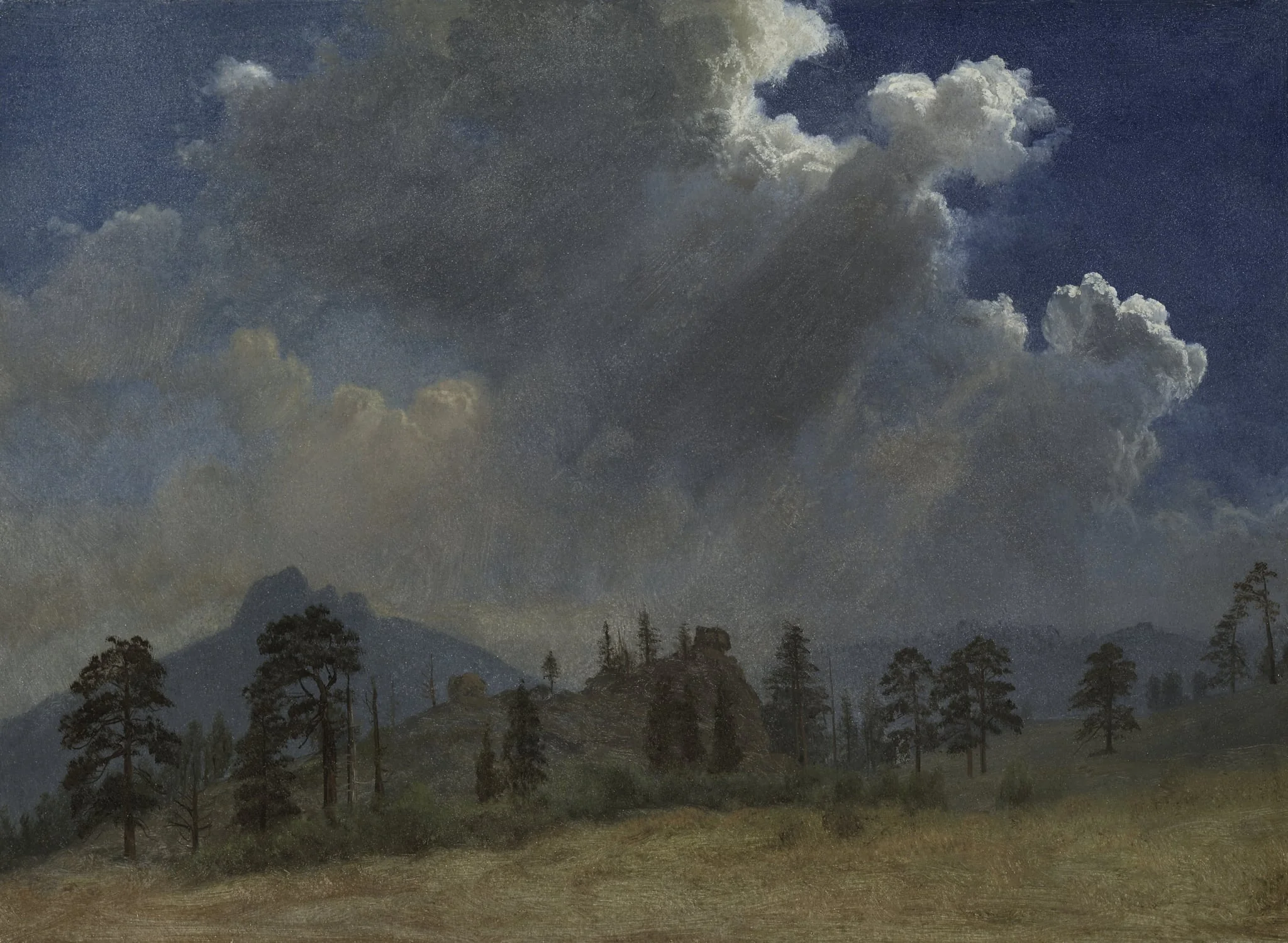 Fir Trees and Storm Clouds, detail