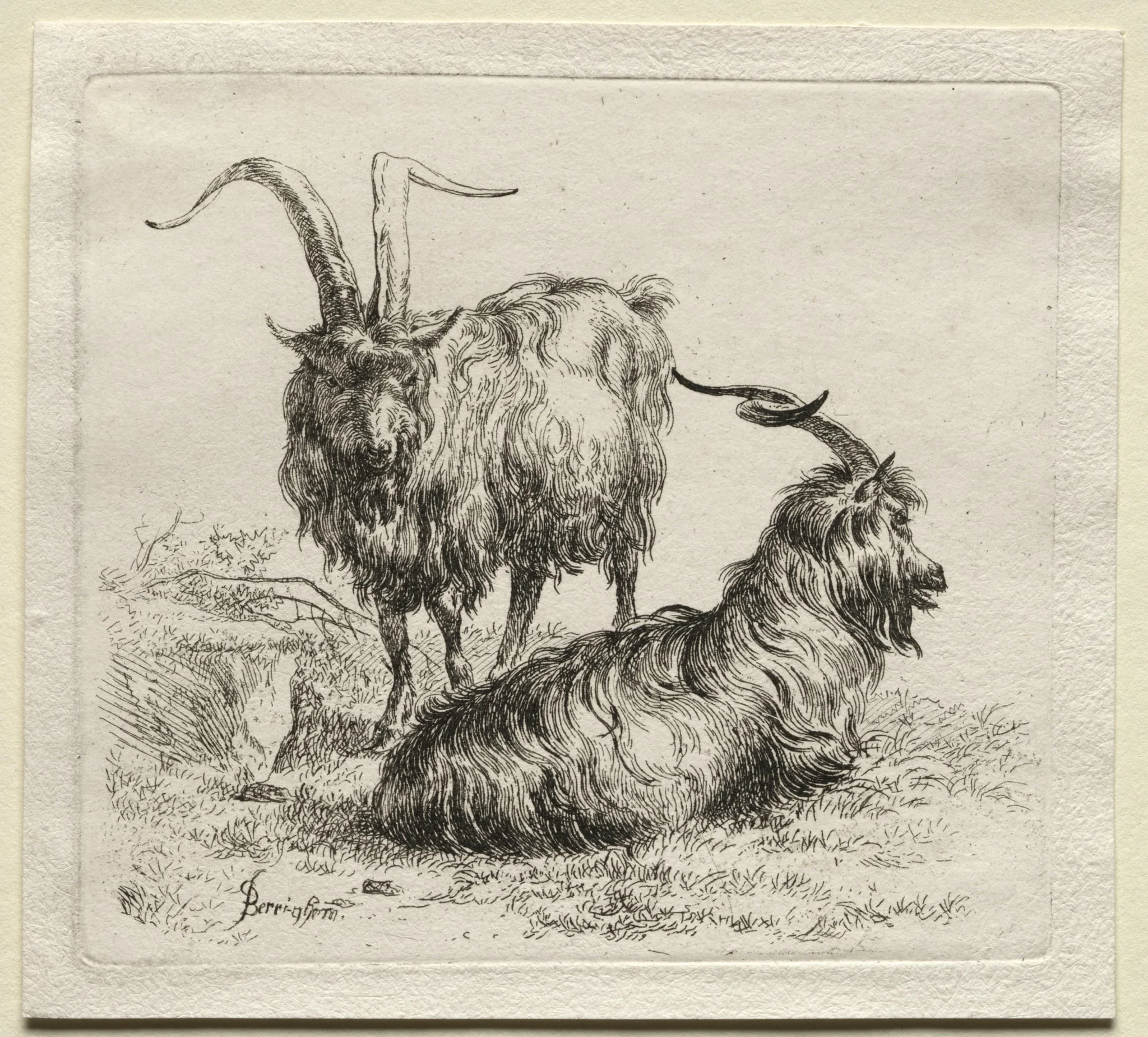 Animalia: Two Goats, detail
