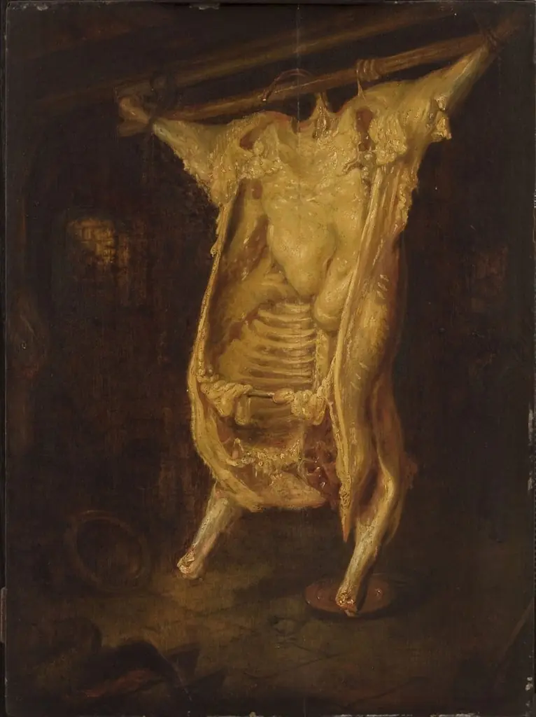 Slaughtered Ox, by Rembrandt, oil, 1640