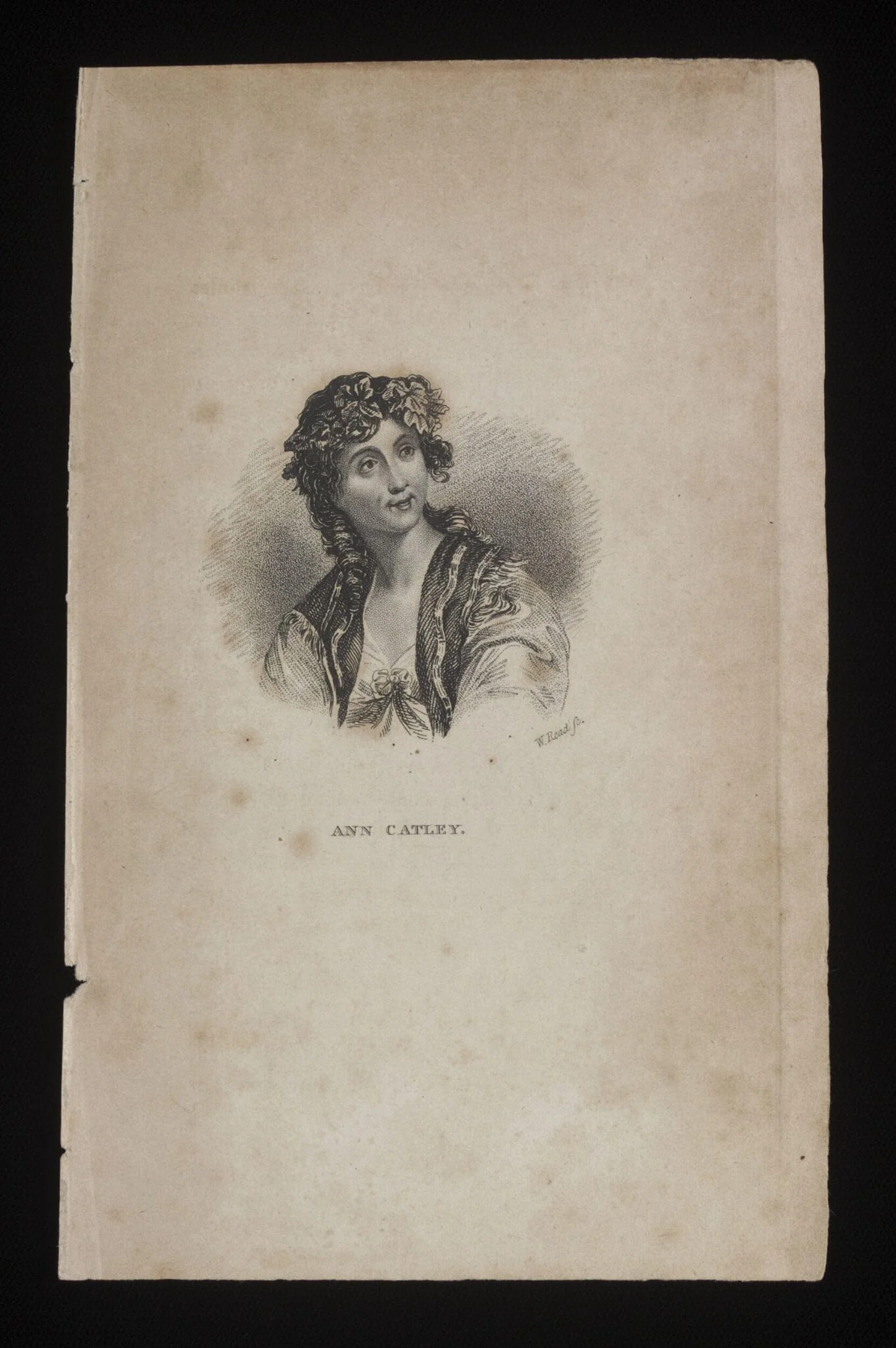 H Beard Print Collection, detail