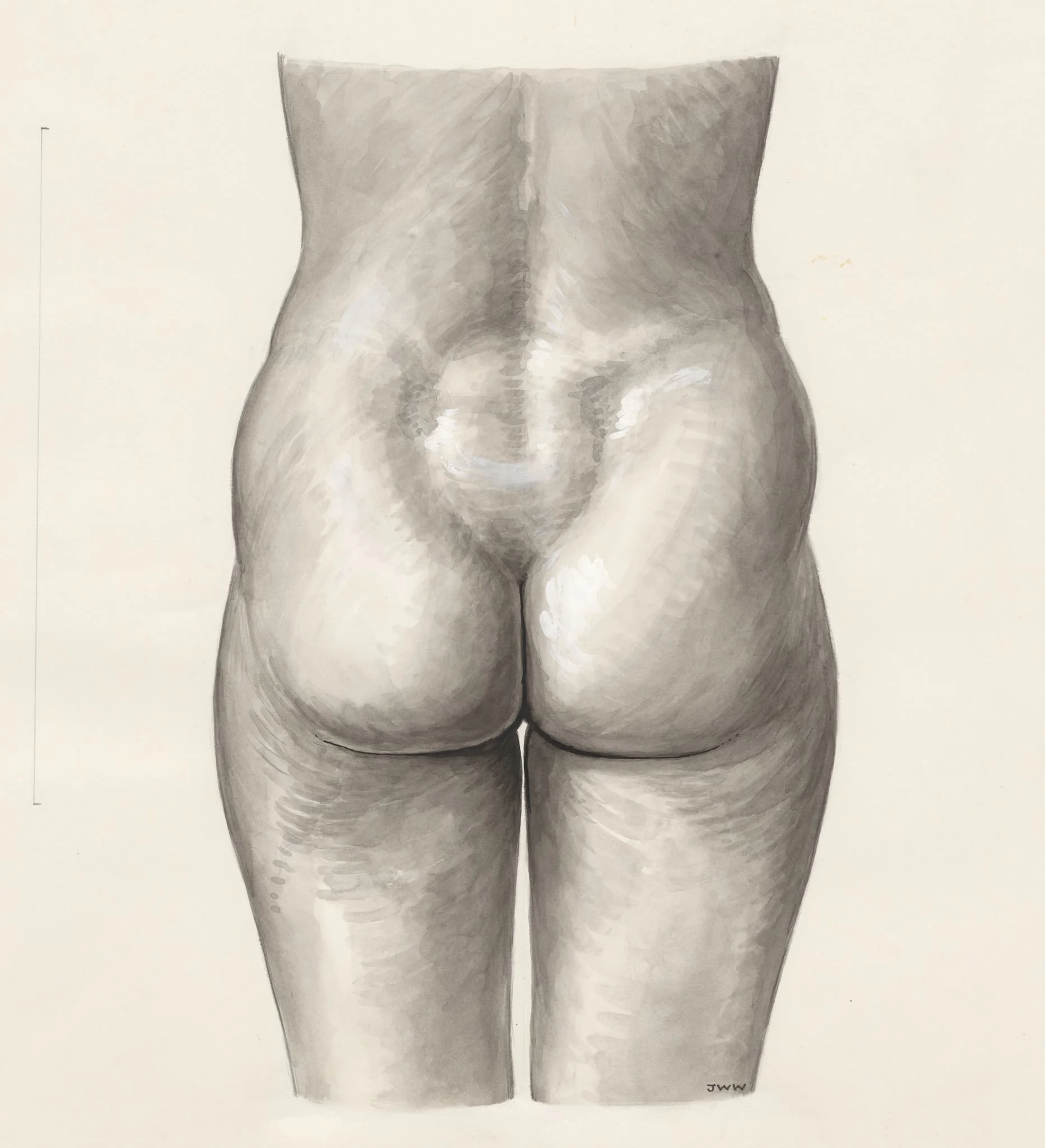 Female lower back and buttocks, detail