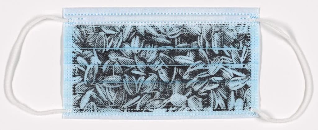Untitled, detail