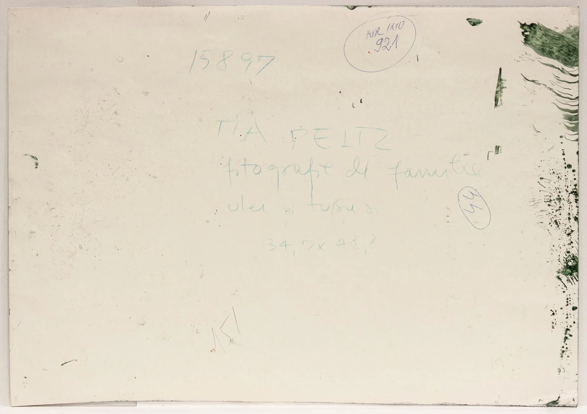 Fotografie de familie, detail