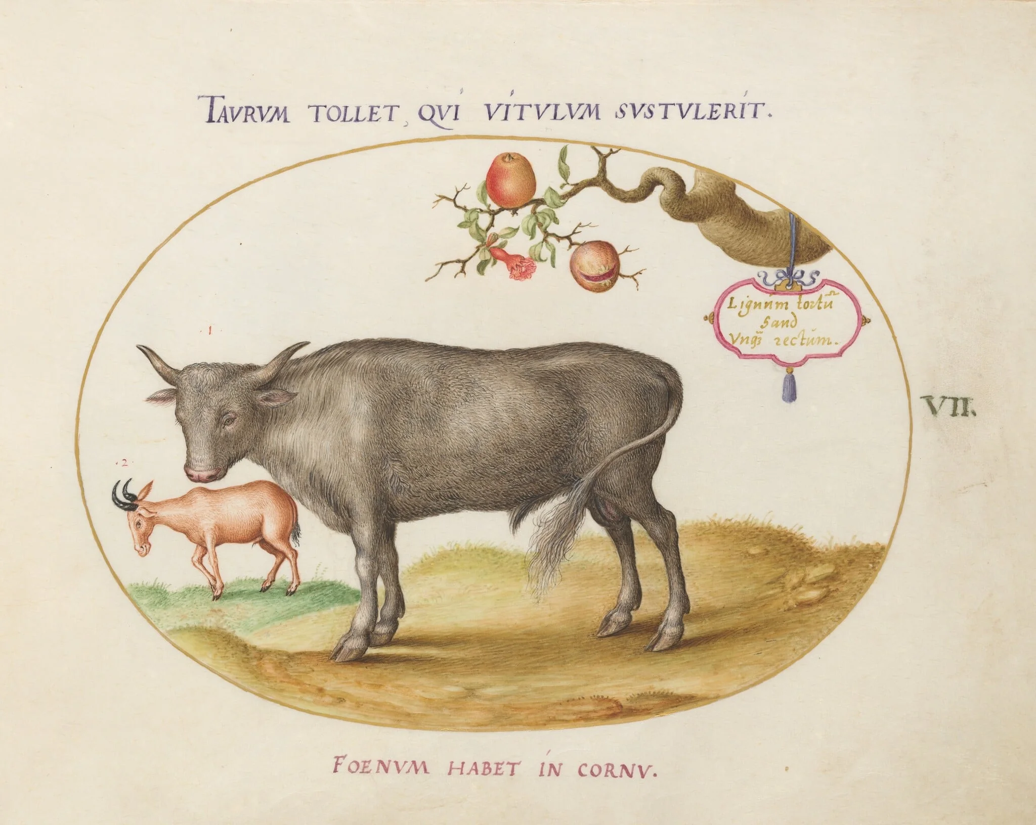 Plate 7: A Bull and a Horned Animal, detail