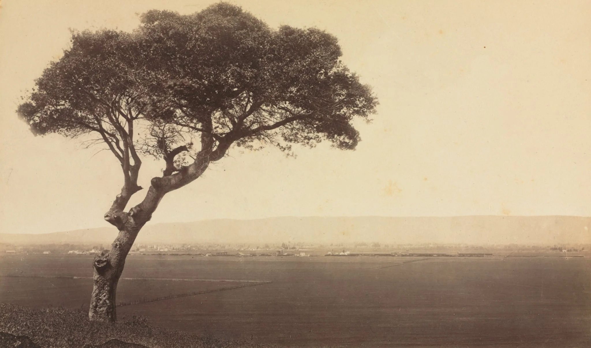 Untitled (Landscape near Watsonville, California), detail
