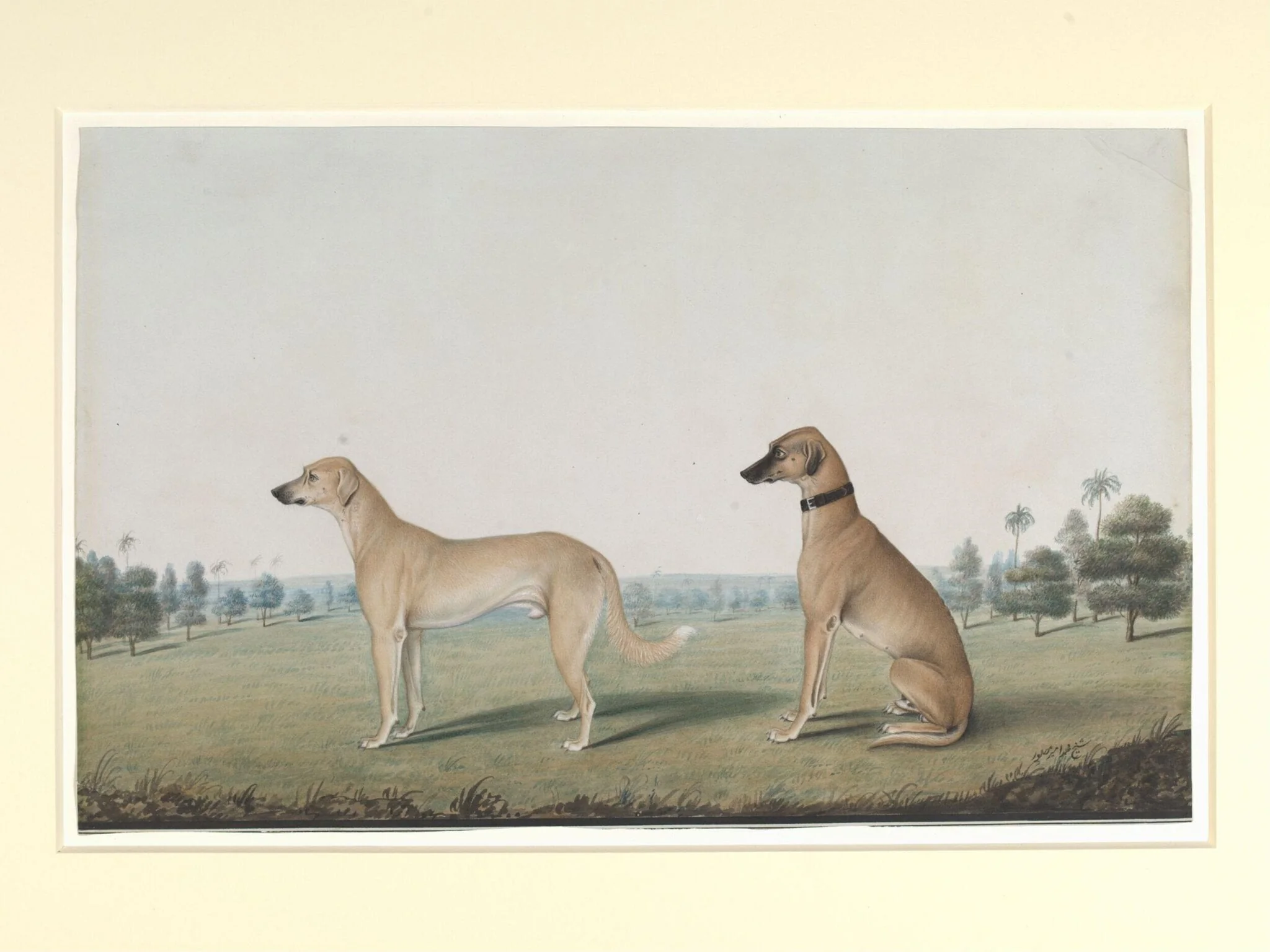 Two dogs in the compound of a Calcutta house, detail