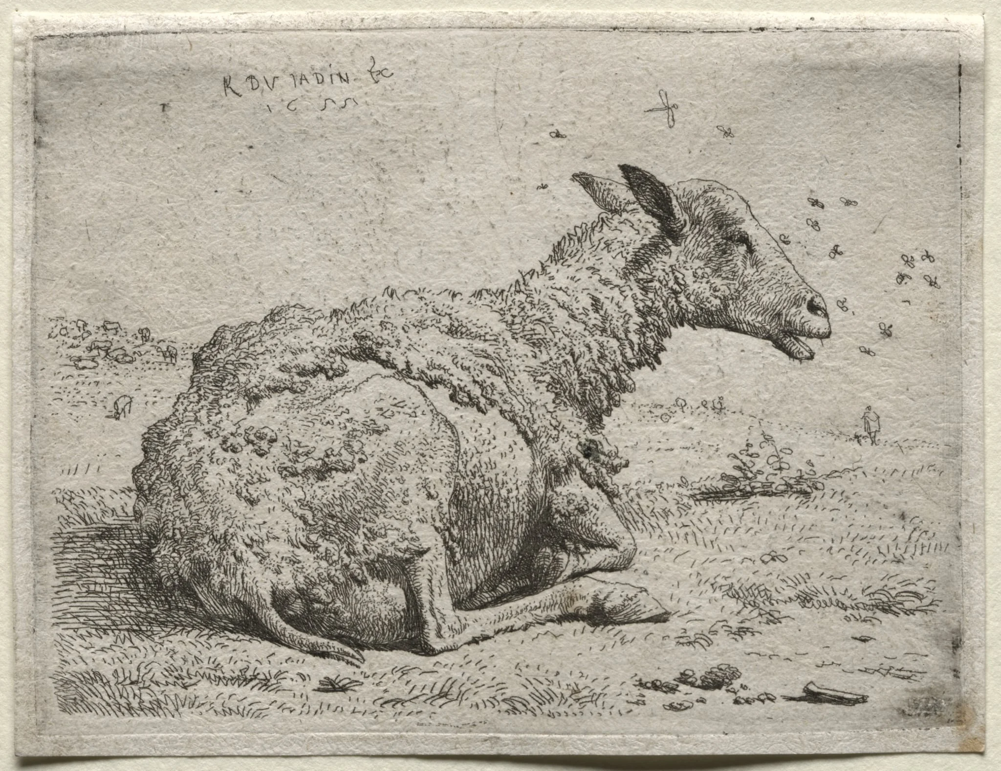 The Sheep and the Flies, detail