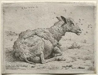 The Sheep and the Flies, by Karel Dujardin, 1655