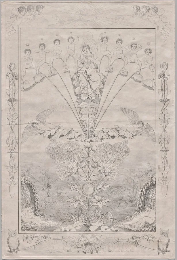 Night, detail