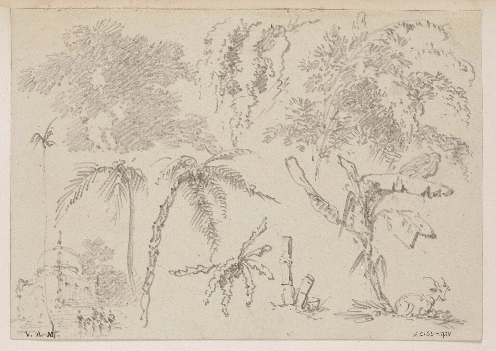 Studies of palms and other foliage, with a domed tomb and a goat, detail
