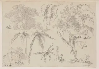 Studies of palms and other foliage, with a domed tomb and a goat, by George Chinnery, 16