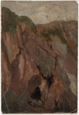 Rocky Cliffs at Howth, County Dublin, detail