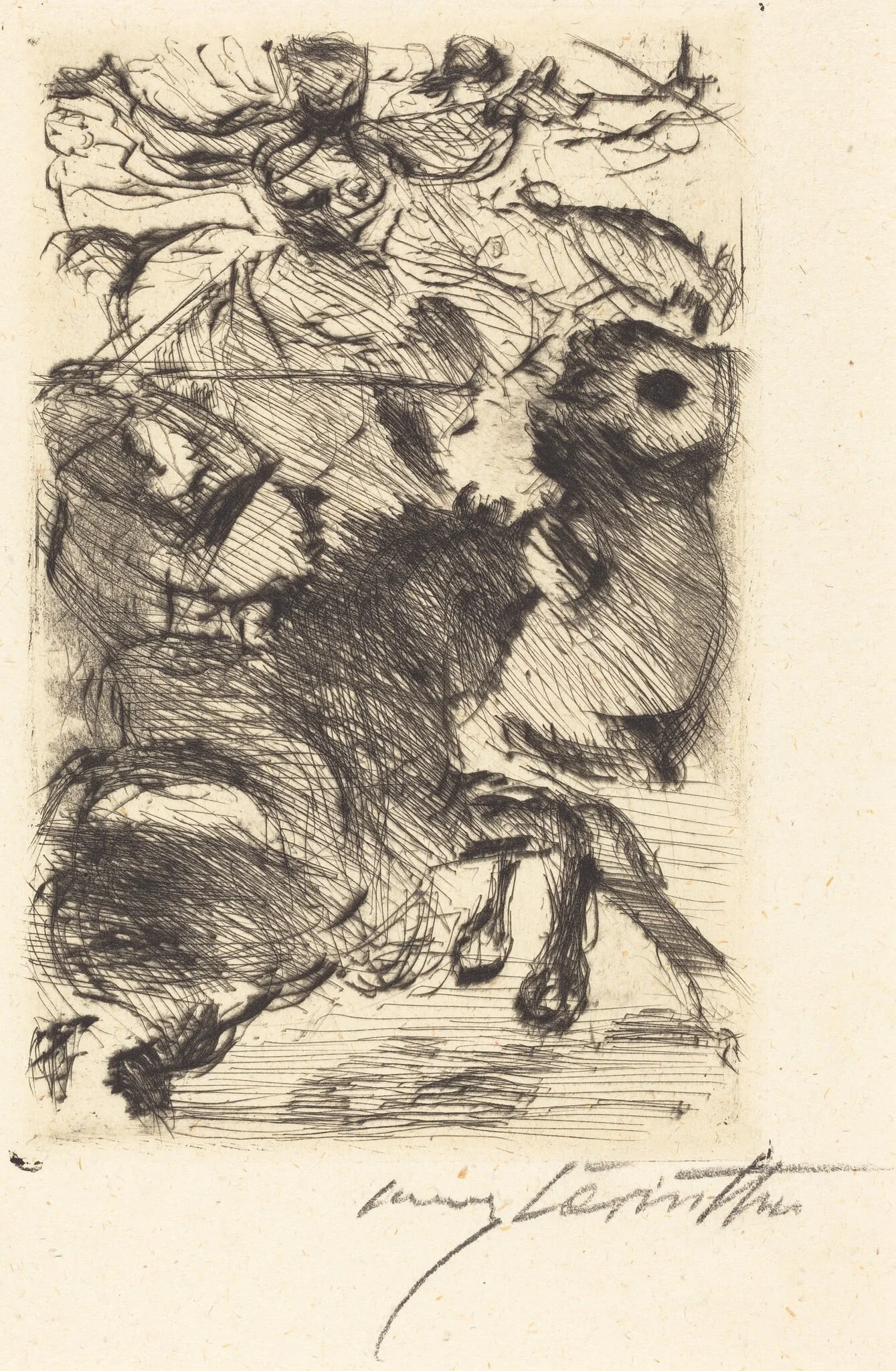 Adhba die Kamelin (Adhba the Camel), detail