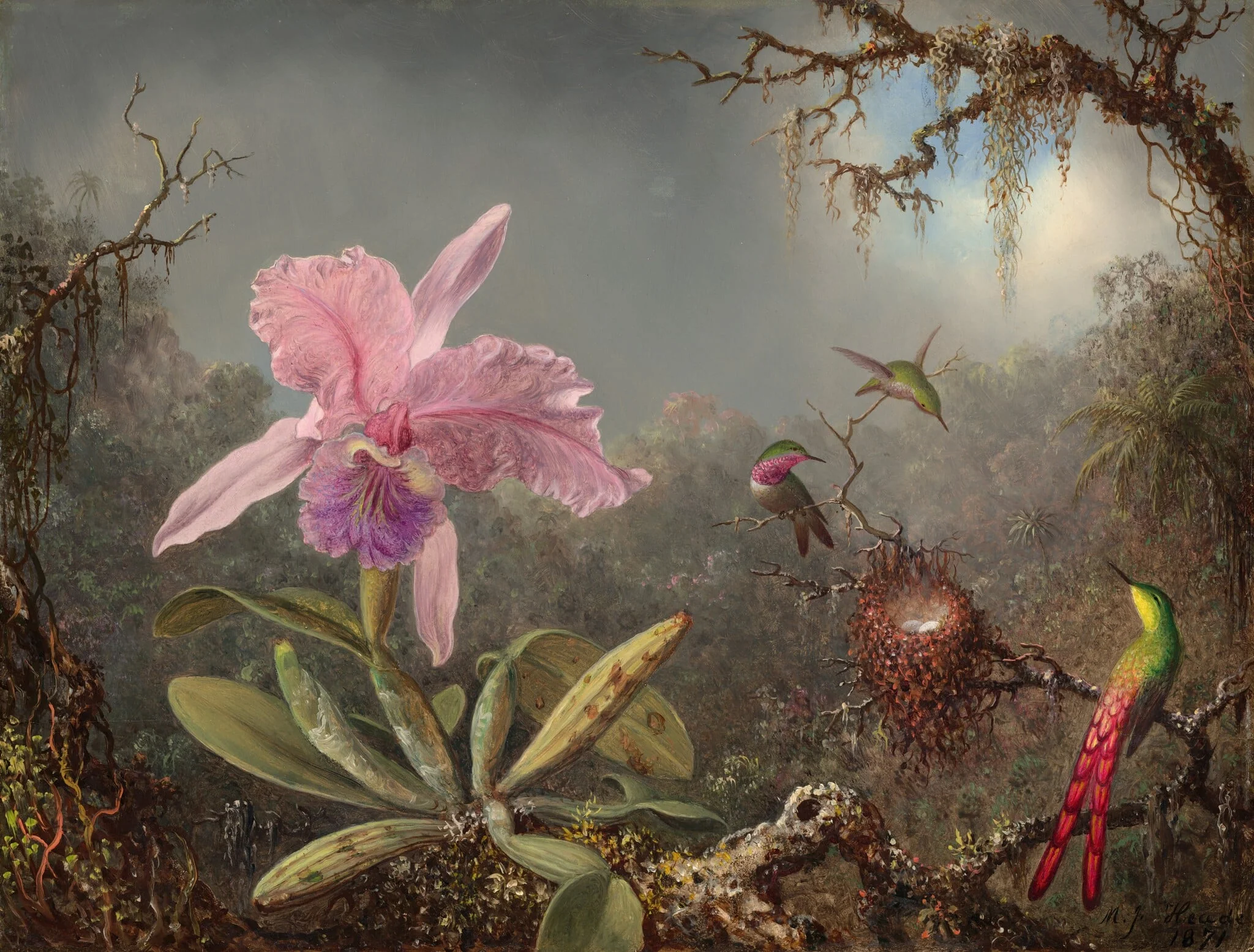 Cattleya Orchid and Three Hummingbirds, detail