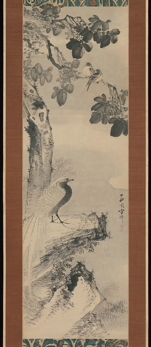 西園方済筆 梧桐下錦鶏図|Pheasant beneath Paulownia Tree, detail