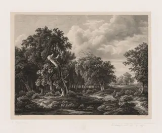 Groups of Various Plants Drawn After Nature:  No. 7, by Eugene Bléry, 1855