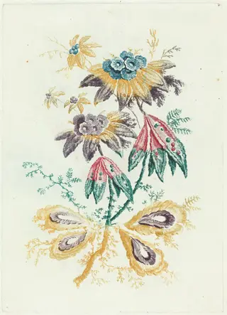 Fantastic Flowers with Peapod Leaves, by Anne Allen, ink