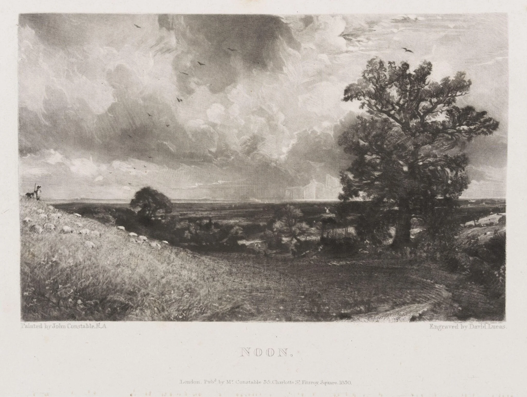 NOON, detail