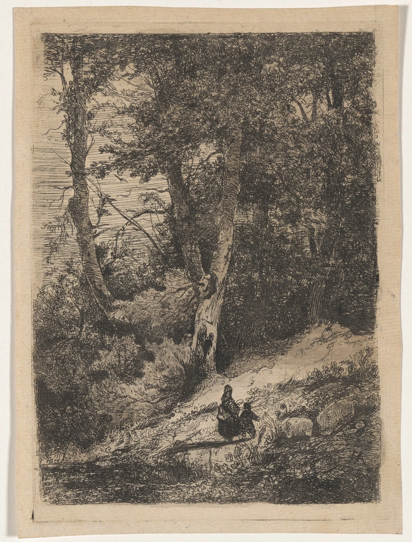 The Inner Forest (Intérieur du bois), detail