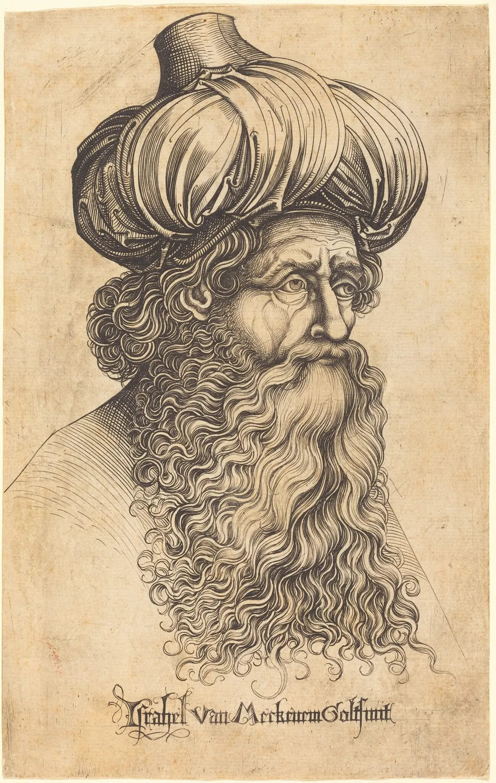 Head of an Aged Man, by Israhel van Meckenem, ink, 1485
