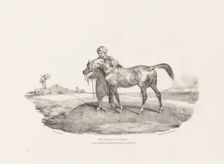 Various Subjects Drawn from Life and on Stone:  An Arabian Horse, by Théodore Géricault, 1821