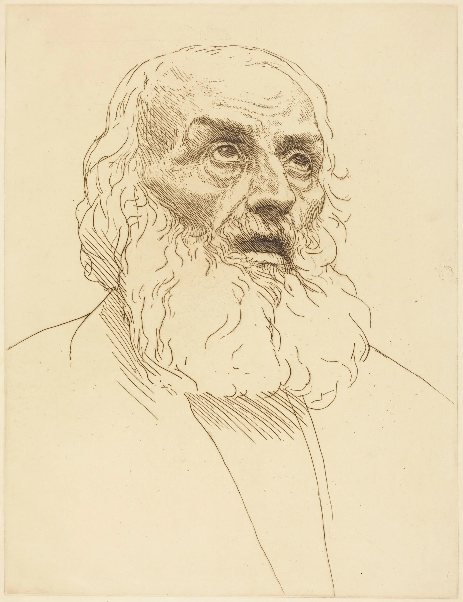 Study of an Old Man (Etude de vieillard), detail