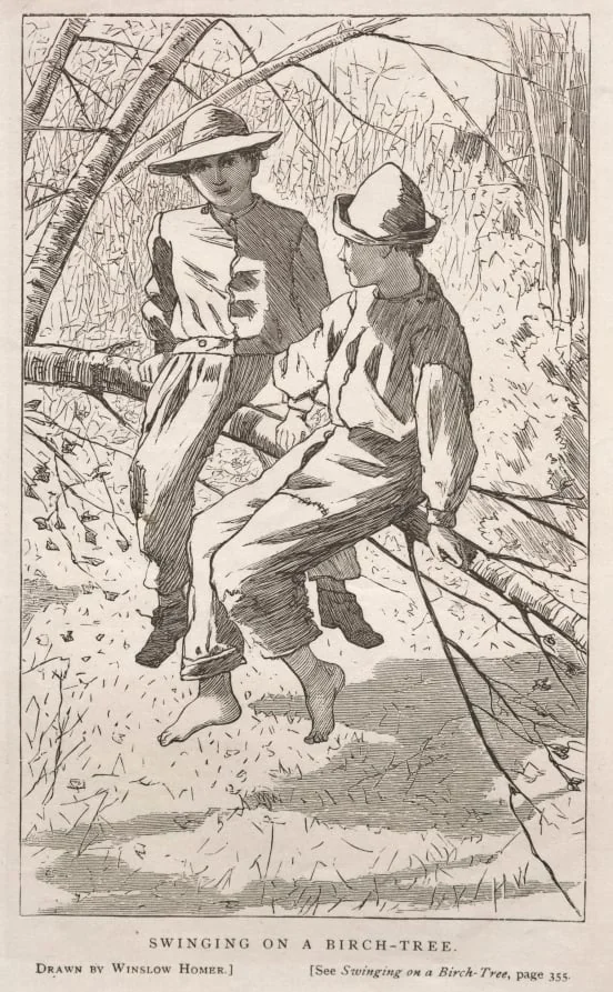 Swinging in a Birch Tree, detail